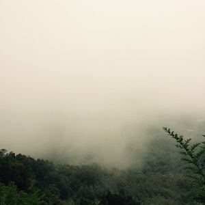 人c交ZZ000ZZ00XXⅩ
